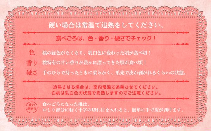 岡山県鏡野町のふるさと納税 【2026年先行予約】［拝郷果樹園］岡山県産 清水白桃 約2kg（6玉〜9玉）
