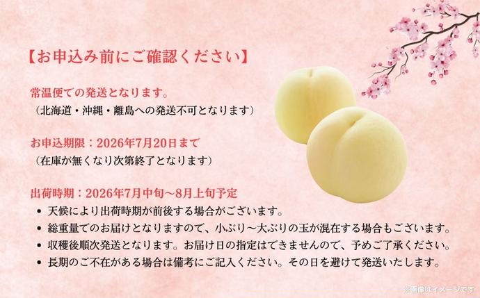 岡山県鏡野町のふるさと納税 【2026年先行予約】［拝郷果樹園］岡山県産 清水白桃 約2kg（6玉〜9玉）