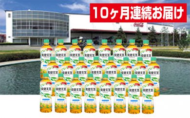 [10ヶ月連続お届け]蔵王工場直送 爽健美茶600ml×24本
