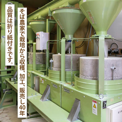 茨城県行方市のふるさと納税 【茨城県共通返礼品／桜川市】【常陸秋そば】八割乾麺セット10パック入(20人分)｜そば 乾麺 常陸秋そば 茨城県共通返礼品 桜川市 年越しそば 茨城県 行方市(DX-27)