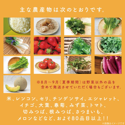 茨城県行方市のふるさと納税 【3ヶ月定期便】野菜王国なめがたの旬野菜便(米 5kg入り)｜野菜 やさい 米 お米 旬 野菜セット セット 茨城県 行方市(CU-136)