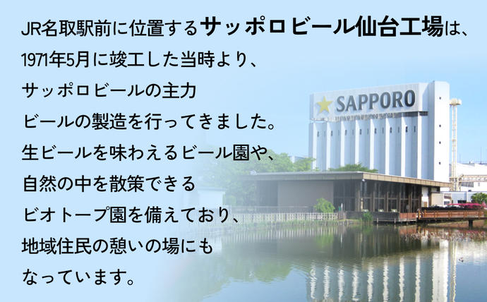 宮城県名取市のふるさと納税 ニッポン の シン ・ レモンサワー 500ml×48缶(2ケース分)同時お届け サッポロ 缶 チューハイ 酎ハイ