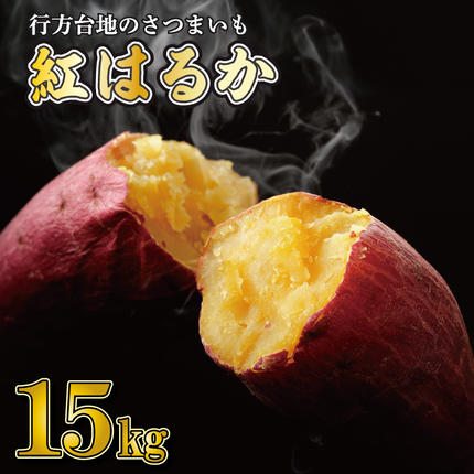 茨城県行方市のふるさと納税 【2026年4月中旬より順次発送】★訳あり★ 無選別 行方台地のさつまいも 紅はるか 約15kg｜訳あり ワケアリ 訳アリ さつまいも サツマイモ さつま芋 紅はるか 無選別 べにはるか 行方市 ふるさと納税(CU-318)