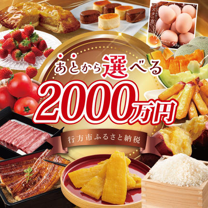 あとから選べる★茨城県行方市ふるさとギフト 寄附額:2000万円分|あとから選べる 後から選べる 選べる ギフト 肉 お肉 米 お米 コシヒカリ ミルキークイーン さつまいも サツマイモ 芋 お芋 うなぎ 干し芋 紅はるか スイーツ カタログ 2000万円 茨城県 行方市 人気(CU-107)