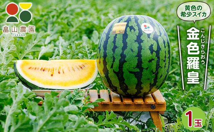 先行予約 富良野産 大玉 スイカ 金色羅皇 2L 7kg 以上×1玉 令和7年産
