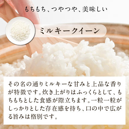 茨城県行方市のふるさと納税 【最短翌日発送】 パックご飯 ミルキークイーン 甘み豊か もちもち 160g×18食｜パックご飯 スピード 茨城県 行方市(HE-2-1)
