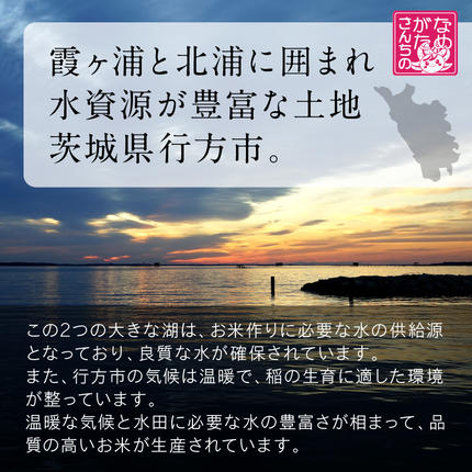 茨城県行方市のふるさと納税 【最短翌日発送】 パックご飯 ミルキークイーン 甘み豊か もちもち 160g×18食｜パックご飯 スピード 茨城県 行方市(HE-2-1)