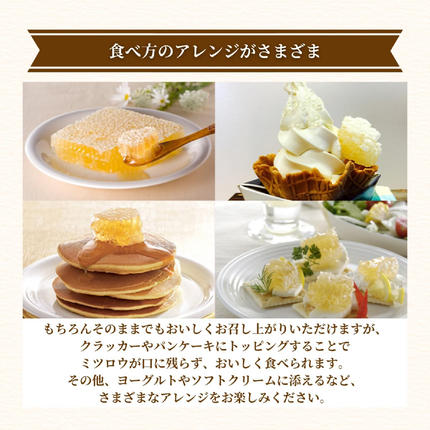 岡山県鏡野町のふるさと納税 巣蜜(ハンガリー産)200g（4216）【006-a084】【山田養蜂場】
