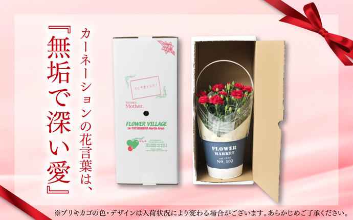 熊本県八代市のふるさと納税 【先行予約】【2026年5月7日～8日発送】ポットカーネーション 赤 5号鉢 カゴ付き 花 母の日 プレゼント ギフト 贈り物 熊本県 八代市