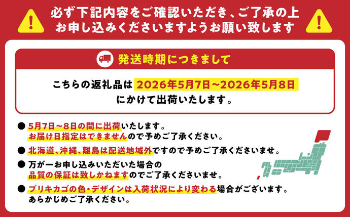 熊本県八代市のふるさと納税 【先行予約】【2026年5月7日～8日発送】ポットカーネーション ピンク 5号鉢 カゴ付き カーネーション 花 母の日 プレゼント ギフト 贈り物 熊本県 八代市