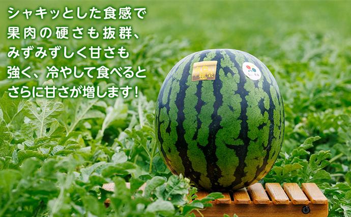 先行予約 富良野産 大玉 スイカ 金色羅皇 2L 7kg 以上×1玉 令和7年産