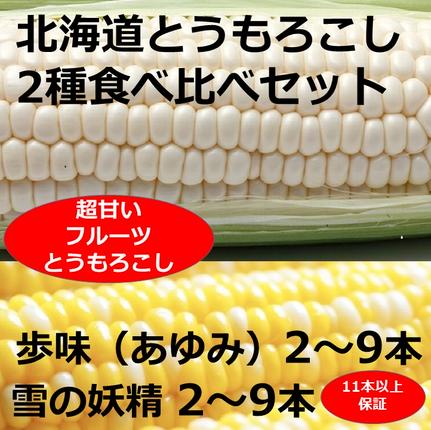 訳あり 北海道 とうもろこし 2種類 合計
