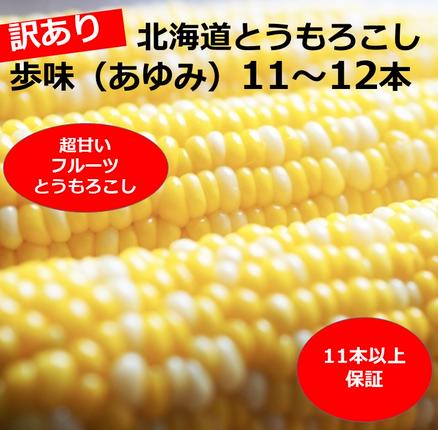 訳あり 北海道 歩味（あゆみ）バイカラーコ