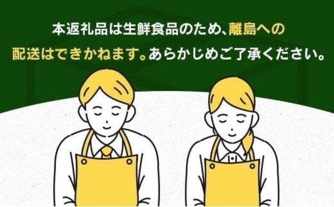 宮崎県日南市のふるさと納税 先行予約 訳あり 不知火 計4kg以上 傷み補償分入り 期間限定 数量限定 フルーツ 果物 くだもの 柑橘 みかん しらぬい 令和8年発送 おやつ デザート ジュース 国産 食品 おすすめ ご褒美 産地直送 おすそわけ 家庭用 ネイバーフッド 宮崎県 日南市 送料無料_A97-25