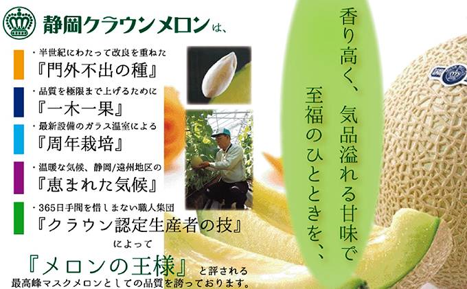 静岡県袋井市のふるさと納税 【12ヶ月定期便】クラウンメロン（白等級）特大玉　1玉入