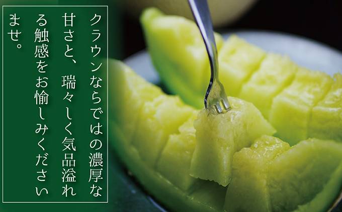 静岡県袋井市のふるさと納税 【12ヶ月定期便】クラウンメロン（白等級）特大玉　1玉入