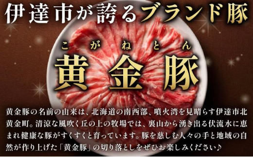 北海道伊達市のふるさと納税 伊達 黄金豚 のジューシーな 切り落とし 肉  2kg【200g×10パック】三元豚  豚肉 ぶた肉 小間切れ スライス 小分け 冷凍