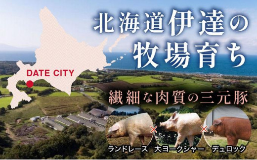 北海道伊達市のふるさと納税 伊達 黄金豚 のジューシーな 切り落とし 肉  2kg【200g×10パック】三元豚  豚肉 ぶた肉 小間切れ スライス 小分け 冷凍