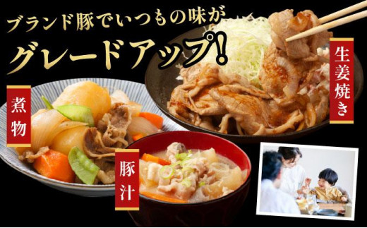 北海道伊達市のふるさと納税 伊達 黄金豚 のジューシーな 切り落とし 肉  2kg【200g×10パック】三元豚  豚肉 ぶた肉 小間切れ スライス 小分け 冷凍