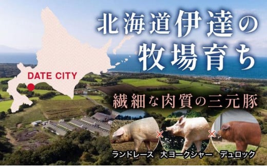 北海道伊達市のふるさと納税 北海道 黄金豚 豚バラ スライス 300g 6パック 計1.8kg 伊達産 三元豚 ブランド豚 豚肉 バラ肉 お肉 小分け 肉料理 鍋料理 炒め物 大矢 オオヤミート 冷凍 送料無料