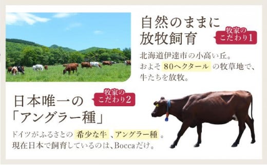 北海道伊達市のふるさと納税 北海道 牧家 Bocca ミルクレープ ホール ケーキ 生クリーム カスタード クレープ 濃厚 しっとり 生乳 ミルク スポンジ  デザート スイーツ ギフト 贈り物 冷凍 送料無料