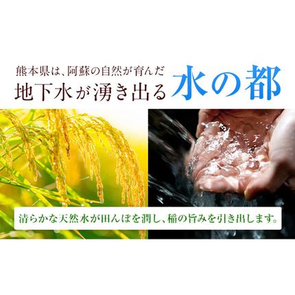 熊本県御船町のふるさと納税 無洗米 訳あり 家庭用 熊本ふるさと 無洗 米 選べる内容量 5kg 10kg 20kg 無洗米 米 コメ 熊本県産《1-5日以内に出荷予定(土日祝除く)》 洗わず コロナ おうちご飯 お米 おこめ 送料無料 熊本 御船 ライス SDGs ふるさと無洗米