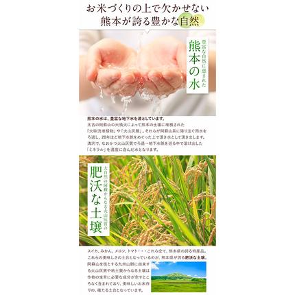 無洗米 訳あり 家庭用 熊本ふるさと 無洗 米 選べる内容量 5kg 10kg