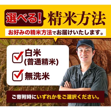 熊本県御船町のふるさと納税 無洗米 も選べる ひのひかり 5kg 10kg 20kg 令和7年産《1-5日以内に出荷予定(土日祝除く)》熊本県産 ふるさと納税 無洗米 白米 精米 ひの 米 こめ ふるさとのうぜい ヒノヒカリ コメ お米 おこめ