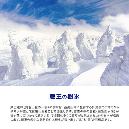 宮城県蔵王町のふるさと納税 5か月定期 水想い 蔵王連峰の雪どけ天然水（ナチュラルミネラルウォーター） ラベルレス　500ml×42本 水 みず 天然水 ミネラルウォーター 定期便 防災 備蓄 人気 ラベルレス ペットボトル 蔵王 【04301-0736】