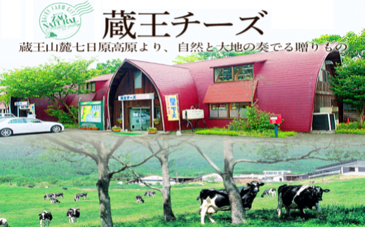 宮城県蔵王町のふるさと納税 蔵王クリームチーズ 2kg  チーズ クリームチーズ 業務用 大容量 お菓子 スイーツ 蔵王 人気【04301-0479】