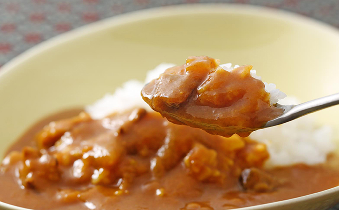 兵庫県加西市のふるさと納税 「加西産とまと」を使ったトマト & 牛すじカレー レトルトカレー 5箱 カレー 中辛 野菜/とまと やさい セット