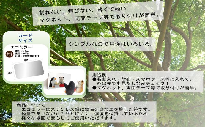 兵庫県加西市のふるさと納税 鏡 手鏡 コンパクトミラー ECO MIRROR ECO MIRROR(ねっぴ～ ) 計2枚 セット