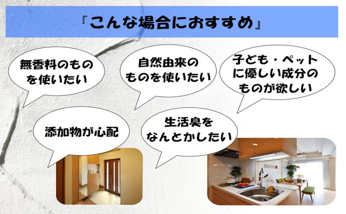 兵庫県加西市のふるさと納税 消臭スプレー エコアーススプレー 300ml 1本 消臭剤