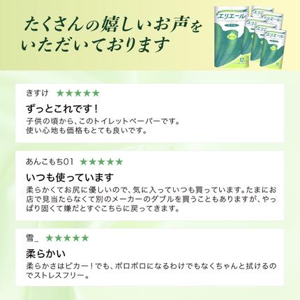 北海道赤平市のふるさと納税 【2ヵ月連続お届け・計144ロール】エリエール トイレットティシュー ダブル 30m 12R 6パック 計72ロール トイレ 消耗品 トイレットペーパー まとめ買い 防災 常備品 備蓄品 消耗品 日用品 生活必需品 送料無料 赤平市