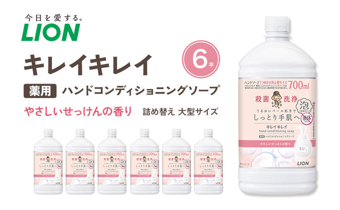 ハンドソープ 泡 キレイキレイ 薬用 ハン