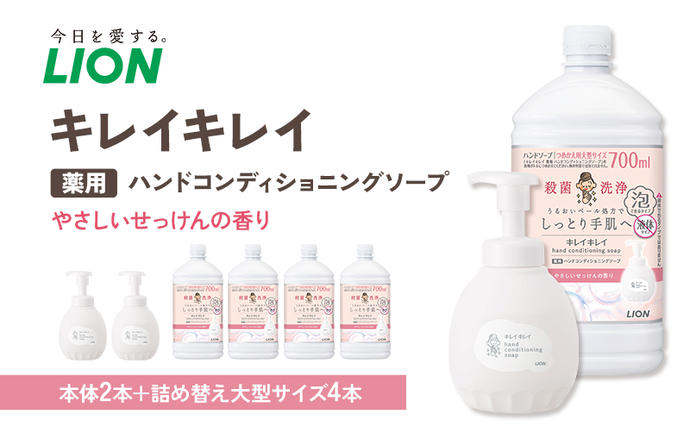 ハンドソープ 泡 キレイキレイ 薬用 ハン