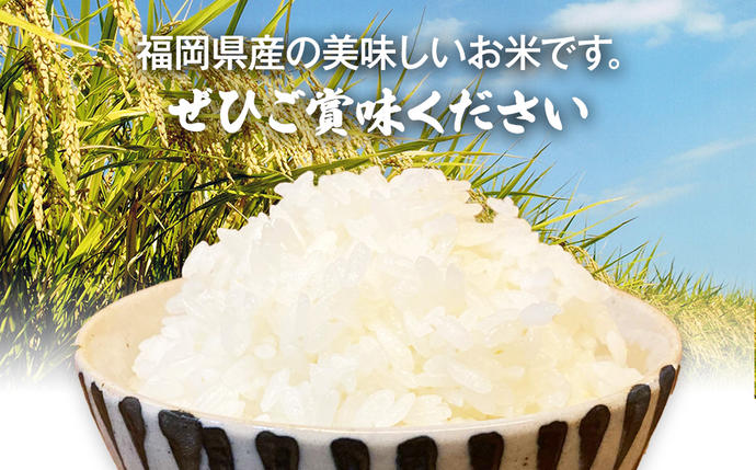福岡県大木町のふるさと納税 【令和5年産】 福岡県 大木町産 ひのひかり 10kg　BC01