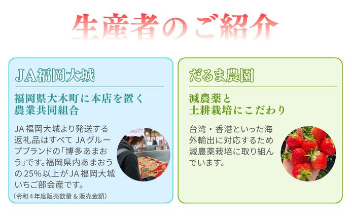先行予約》【アフター保証】いちご あまおう 大木町 約250g×4パック