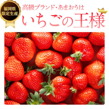 福岡県大木町のふるさと納税 《先行予約》【アフター保証】いちご あまおう 大木町 約270g×4パック 合計1080g 【2027年1月～3月に順次出荷予定】 CB223