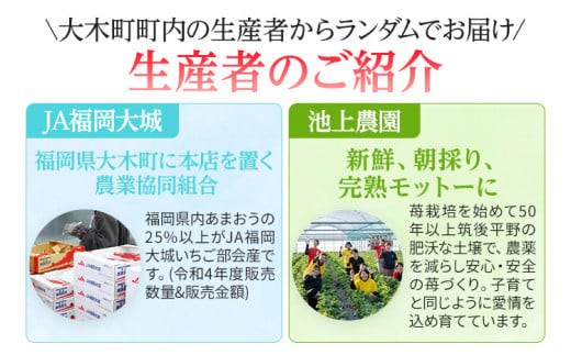 福岡県大木町のふるさと納税 《先行予約》【アフター保証】いちご あまおう 大木町 約250g×4パック 合計1000g 【2027年1月～3月に順次出荷予定】 CB223