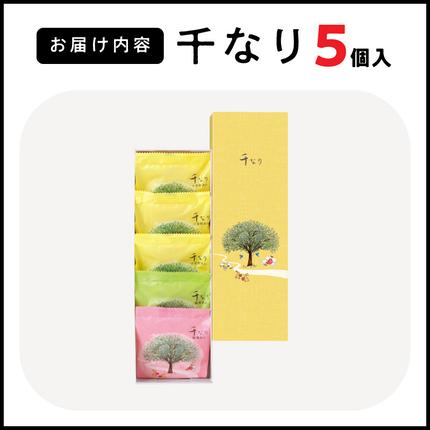 愛知県小牧市のふるさと納税 両口屋是清　千なり（5個入） 千なり どら焼き 手土産 お土産 土産 丹波大納言小豆 抹茶 林檎 りんご 慶事 お祝い 法事 法要 詰め合わせ お取り寄せ 瓢箪 豊臣秀吉 焼印 個包装 贈り物 老舗 お茶菓子［045R04］