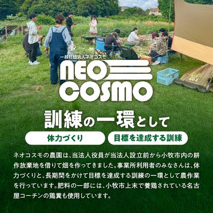 愛知県小牧市のふるさと納税 ネオコスモ農園で採れた小牧の野菜詰め合わせ［124N01］
