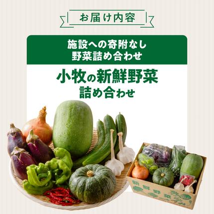 愛知県小牧市のふるさと納税 ネオコスモ農園で採れた小牧の野菜詰め合わせ［124N01］