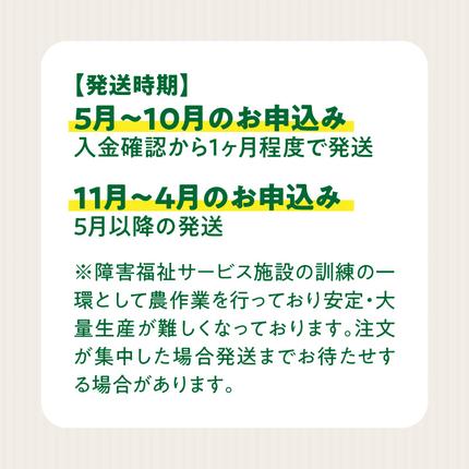 愛知県小牧市のふるさと納税 ネオコスモ農園で採れた小牧の野菜詰め合わせ［124N01］