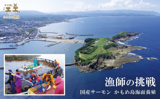 北海道江差町のふるさと納税 【セゾン限定寄附額】＼6月下旬以降発送予定／北海道産 サーモン お刺身用ブロック 300g（100g×3P）　日本海 かもめ島海面養殖　純国産 ブランドサーモン『江さしっ子 繁虎』　衝撃の口どけ　とろける脂　生食可　冷凍　小分け　個包装　トラウトサーモン　刺身　サーモンステーキ　カルパッチョ　海鮮　鮭　さけ　シャケ　しゃけ　さーもん　のし対応可　贈答用　ギフト　お中元　お歳暮