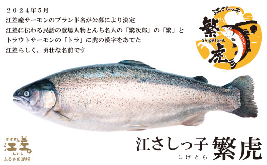 北海道江差町のふるさと納税 【セゾン限定寄附額】＼6月下旬以降発送予定／北海道産 サーモン お刺身用ブロック 300g（100g×3P）　日本海 かもめ島海面養殖　純国産 ブランドサーモン『江さしっ子 繁虎』　衝撃の口どけ　とろける脂　生食可　冷凍　小分け　個包装　トラウトサーモン　刺身　サーモンステーキ　カルパッチョ　海鮮　鮭　さけ　シャケ　しゃけ　さーもん　のし対応可　贈答用　ギフト　お中元　お歳暮