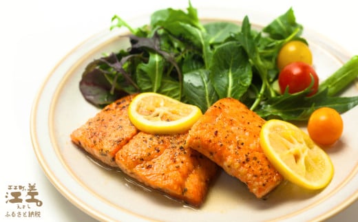 北海道江差町のふるさと納税 ＼配送月指定可／北海道産 サーモン お刺身用ブロック 500g（100g×5P）　日本海 かもめ島海面養殖　純国産 ブランドサーモン『江さしっ子 繁虎』　衝撃の口どけ　とろける脂　生食可　冷凍　小分け　個包装　トラウトサーモン　刺身　サーモンステーキ　カルパッチョ　海鮮　鮭　さけ　シャケ　しゃけ　さーもん