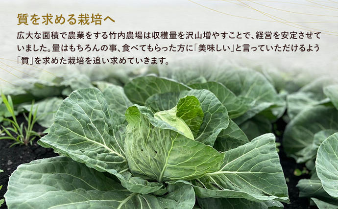 北海道 十勝 幕別町産 キャベツ 4玉 【 野菜 サラダ 産地直送 竹内農場