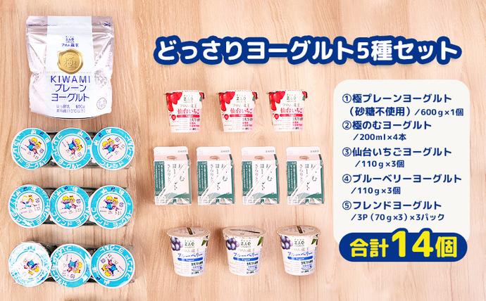 宮城県白石市のふるさと納税 フロム蔵王　どっさりヨーグルト5種セット【0114601】
