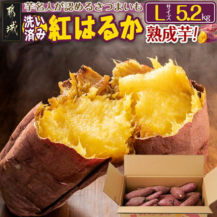 【熟成芋】芋名人が認めるさつまいも『洗い済